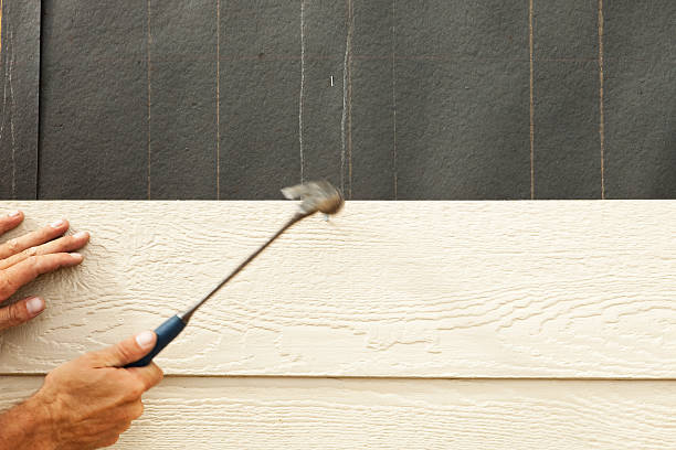 Affordable Siding Repair and Maintenance Services in Brooksville, FL